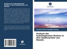 Portada del libro de Analyse der hydrologischen Risiken in drei Stadtvierteln von Douala