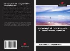Capa do livro de Hydrological risk analysis in three Douala districts 
