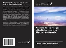 Couverture de Análisis de los riesgos hidrológicos en tres distritos de Douala