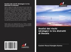 Portada del libro de Analisi dei rischi idrologici in tre distretti di Douala