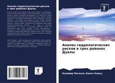 Bookcover of Анализ гидрологических рисков в трех районах Дуалы