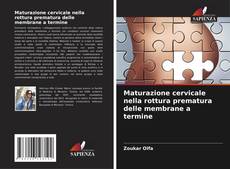 Bookcover of Maturazione cervicale nella rottura prematura delle membrane a termine