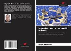 Couverture de Imperfection in the credit market