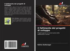 Copertina di Il fallimento dei progetti di sviluppo