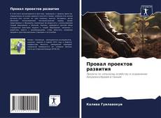 Buchcover von Провал проектов развития