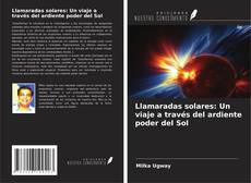 Bookcover of Llamaradas solares: Un viaje a través del ardiente poder del Sol
