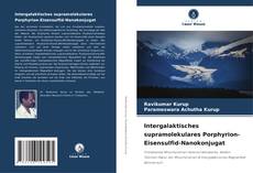 Portada del libro de Intergalaktisches supramolekulares Porphyrion-Eisensulfid-Nanokonjugat