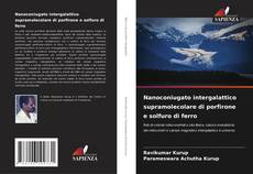 Copertina di Nanoconiugato intergalattico supramolecolare di porfirone e solfuro di ferro