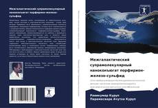 Bookcover of Межгалактический супрамолекулярный наноконъюгат порфирион-железо-сульфид