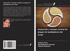 Bookcover of Evaluación y manejo varietal de plagas de lepidópteros del sorgo