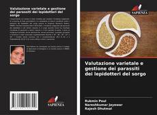 Обложка Valutazione varietale e gestione dei parassiti dei lepidotteri del sorgo