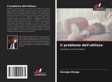 Copertina di Il problema dell'utilizzo