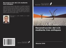 Buchcover von Reconstrucción del LCA mediante tres enfoques