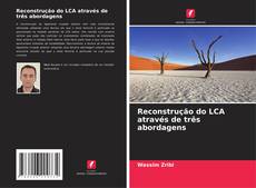 Buchcover von Reconstrução do LCA através de três abordagens