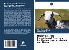 Portada del libro de Nachweis einer Benzimidazol-Resistenz bei Haemonchus contortus von Ziegen