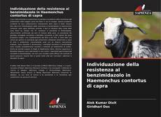 Bookcover of Individuazione della resistenza al benzimidazolo in Haemonchus contortus di capra