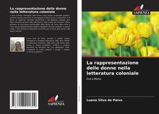 Buchcover von La rappresentazione delle donne nella letteratura coloniale