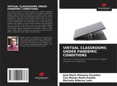 Capa do livro de VIRTUAL CLASSROOMS UNDER PANDEMIC CONDITIONS 