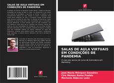 SALAS DE AULA VIRTUAIS EM CONDIÇÕES DE PANDEMIA kitap kapağı