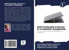 Capa do livro de ВИРТУАЛЬНЫЕ КЛАССЫ В УСЛОВИЯХ ПАНДЕМИИ 