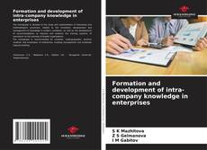 Capa do livro de Formation and development of intra-company knowledge in enterprises 