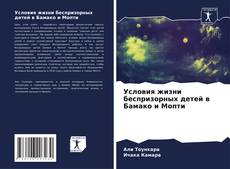 Buchcover von Условия жизни беспризорных детей в Бамако и Мопти