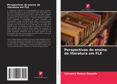 Couverture de Perspectivas do ensino da literatura em FLE