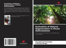 Bookcover of Evaluation of Natural Regeneration in Mixed Reforestation