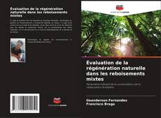 Bookcover of Évaluation de la régénération naturelle dans les reboisements mixtes