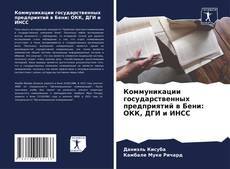 Коммуникации государственных предприятий в Бени: ОКК, ДГИ и ИНСС kitap kapağı