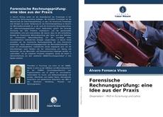 Portada del libro de Forensische Rechnungsprüfung: eine Idee aus der Praxis