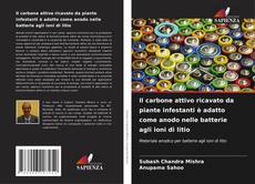 Portada del libro de Il carbone attivo ricavato da piante infestanti è adatto come anodo nelle batterie agli ioni di litio