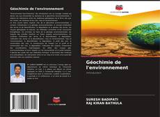 Géochimie de l'environnement kitap kapağı
