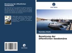 Portada del libro de Besetzung der öffentlichen Seedomäne