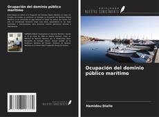 Couverture de Ocupación del dominio público marítimo