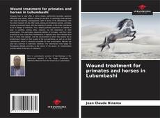 Bookcover of Wound treatment for primates and horses in Lubumbashi