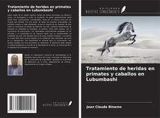 Bookcover of Tratamiento de heridas en primates y caballos en Lubumbashi