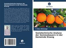 Portada del libro de Soziotechnische Analyse der Gemüsebauern in der Gemeinde Kisang