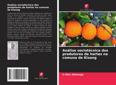 Bookcover of Análise sociotécnica dos produtores de hortas na comuna de Kisang