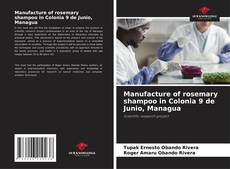 Buchcover von Manufacture of rosemary shampoo in Colonia 9 de Junio, Managua