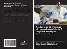 Bookcover of Produzione di shampoo al rosmarino a Colonia 9 de Junio, Managua