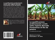 La qualificazione professionale rurale nella regione Baixada Fluminense di Rio de Janeiro的封面