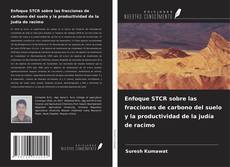 Bookcover of Enfoque STCR sobre las fracciones de carbono del suelo y la productividad de la judía de racimo