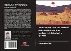 Capa do livro de Approche STCR sur les fractions de carbone du sol et la productivité du haricot à grappes 
