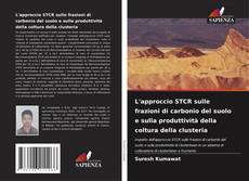 Buchcover von L'approccio STCR sulle frazioni di carbonio del suolo e sulla produttività della coltura della clusteria