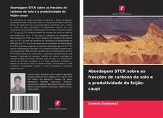 Portada del libro de Abordagem STCR sobre as fracções de carbono do solo e a produtividade do feijão-caupi