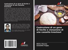 Bookcover of Costruzione di un gene di lievito e clonazione di una cassetta knockout