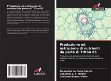 Portada del libro de Produzione ed estrazione di nutrienti da parte di Tifton 85