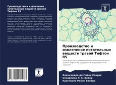 Buchcover von Производство и извлечение питательных веществ травой Тифтон 85