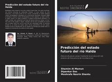 Buchcover von Predicción del estado futuro del río Halda